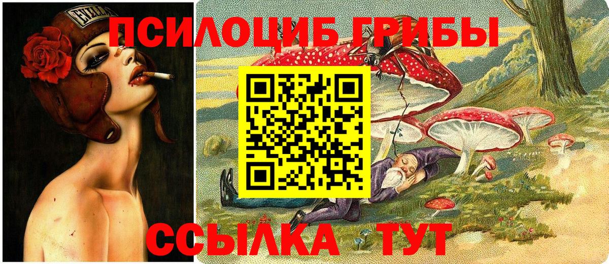 Карачаевск  Псилоцибиновые грибы ЛСД  Вход с VPN 