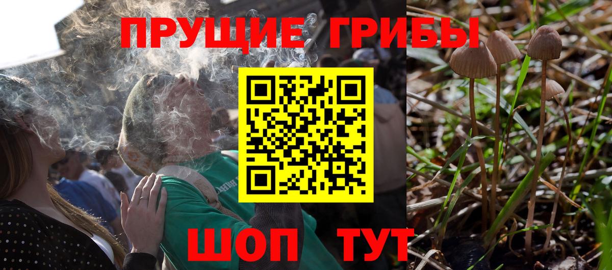 Галлюциногенные грибы мицелий Карачаевск
