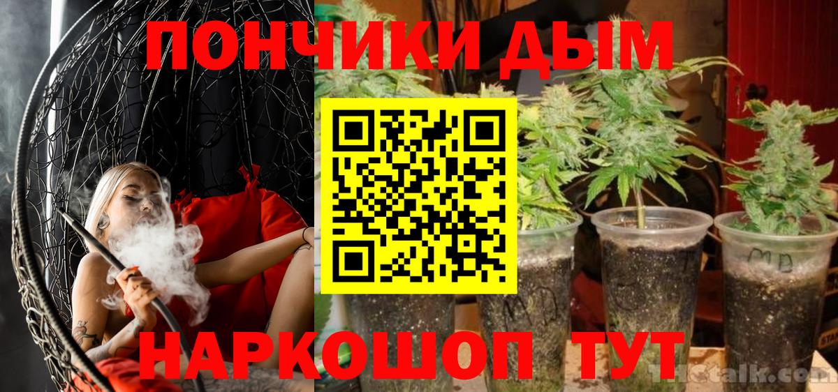 МАРИХУАНА ГИДРОПОН  Марихуана конопля  Карачаевск  Вход с VPN 