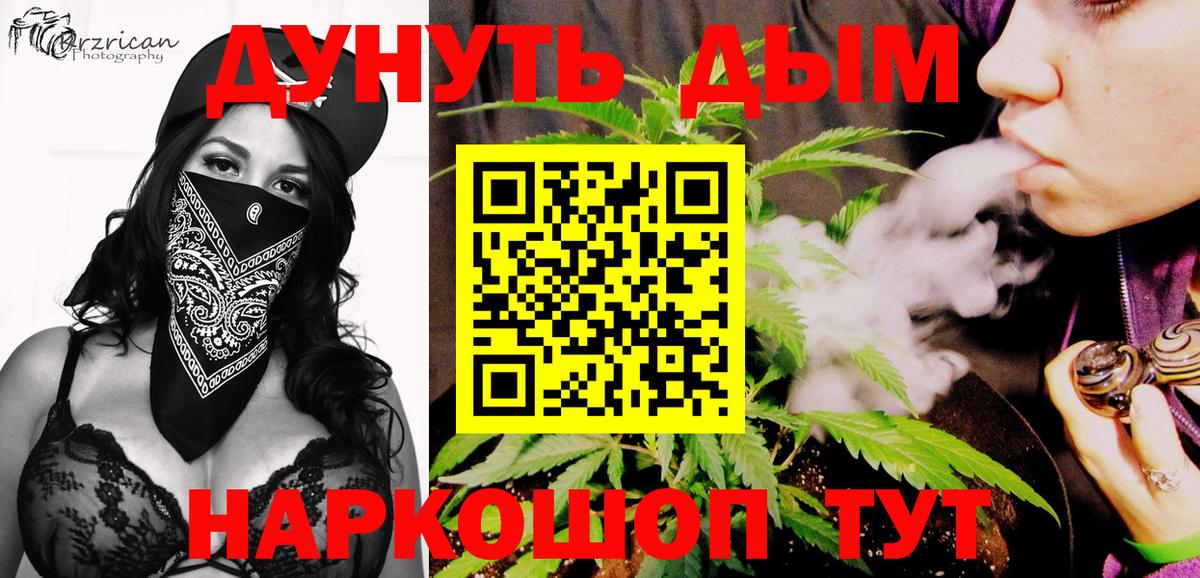 Бошки Шишки семена Карачаевск